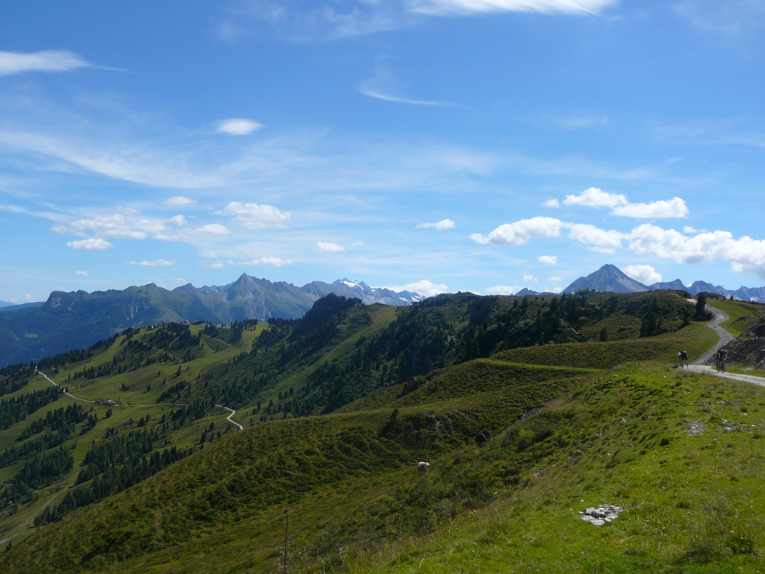 P1050271