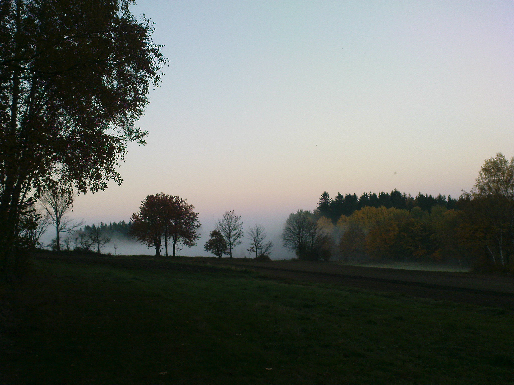 DSC00402