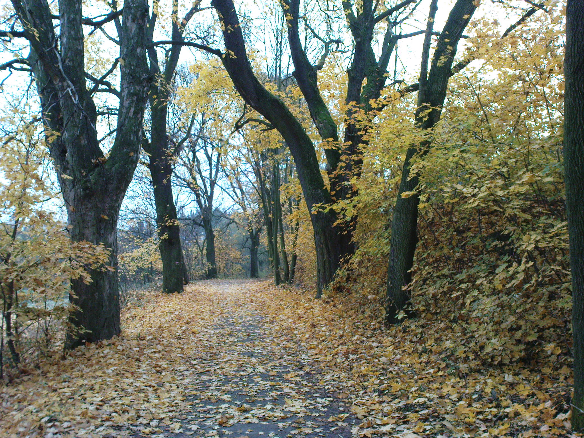 DSC00436