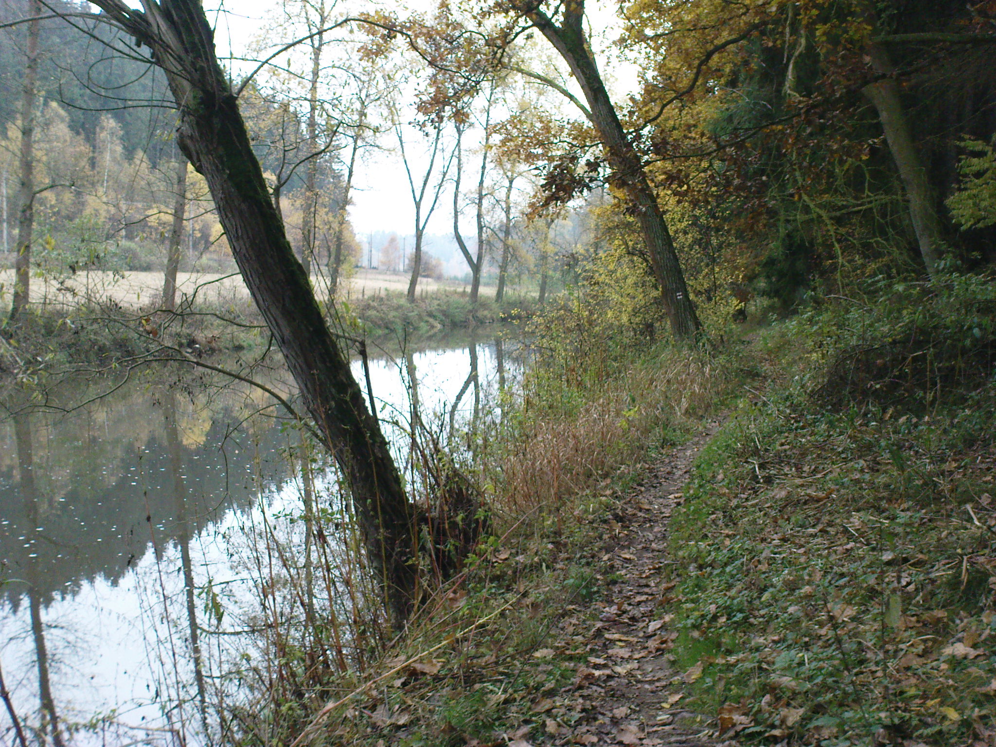 DSC00439
