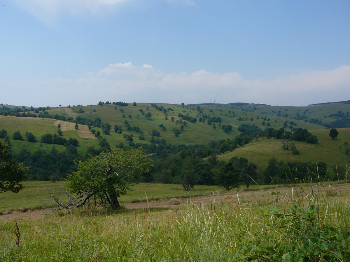 P1060246