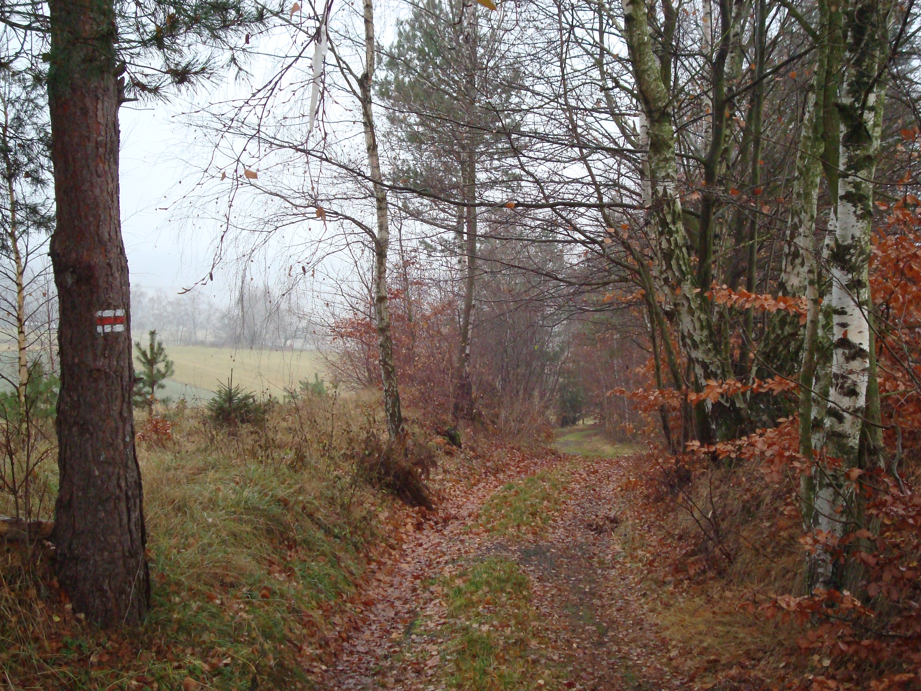 pod Melechovem II